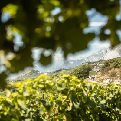 Cave de la Brunière
