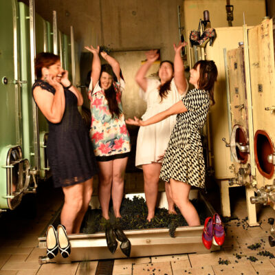 Cave Les Follaterres